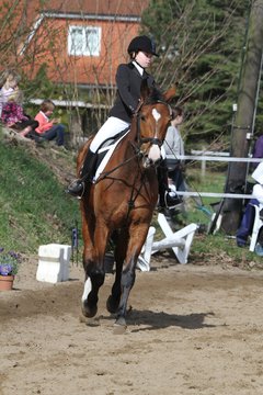Bild 906 - WBO-Turnier am 9.4.11